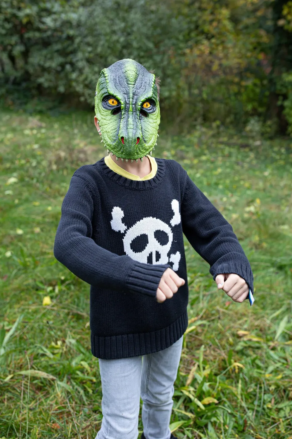 Great Pretenders T-Rex Dinosaur Mask