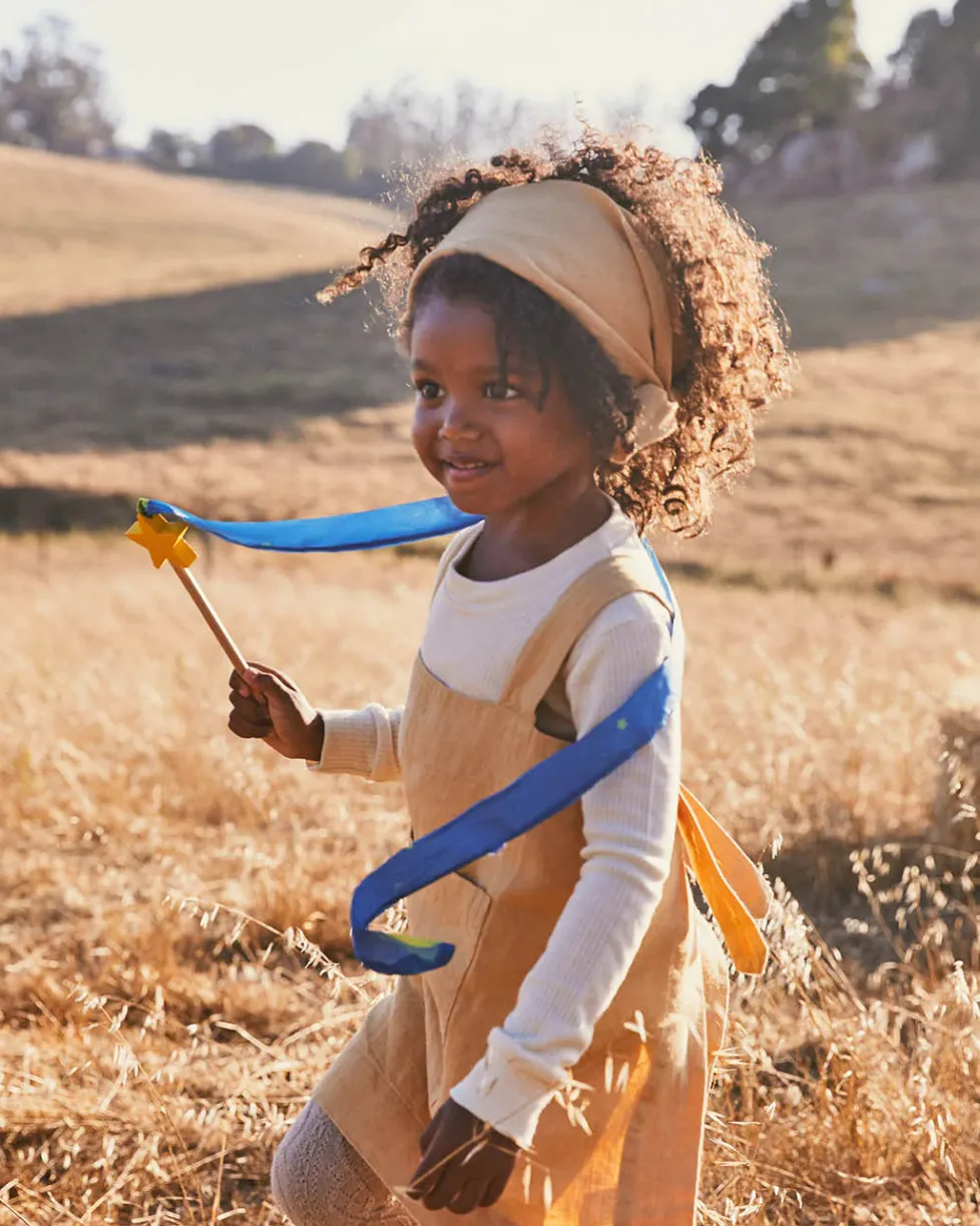 Sarah's Silks: Mini Streamer Wand Starry