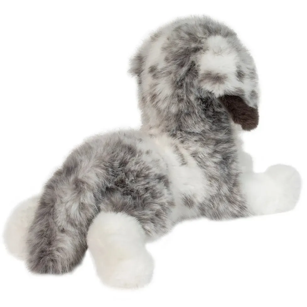 Douglas DLux Skylar Australian Shepherd 15