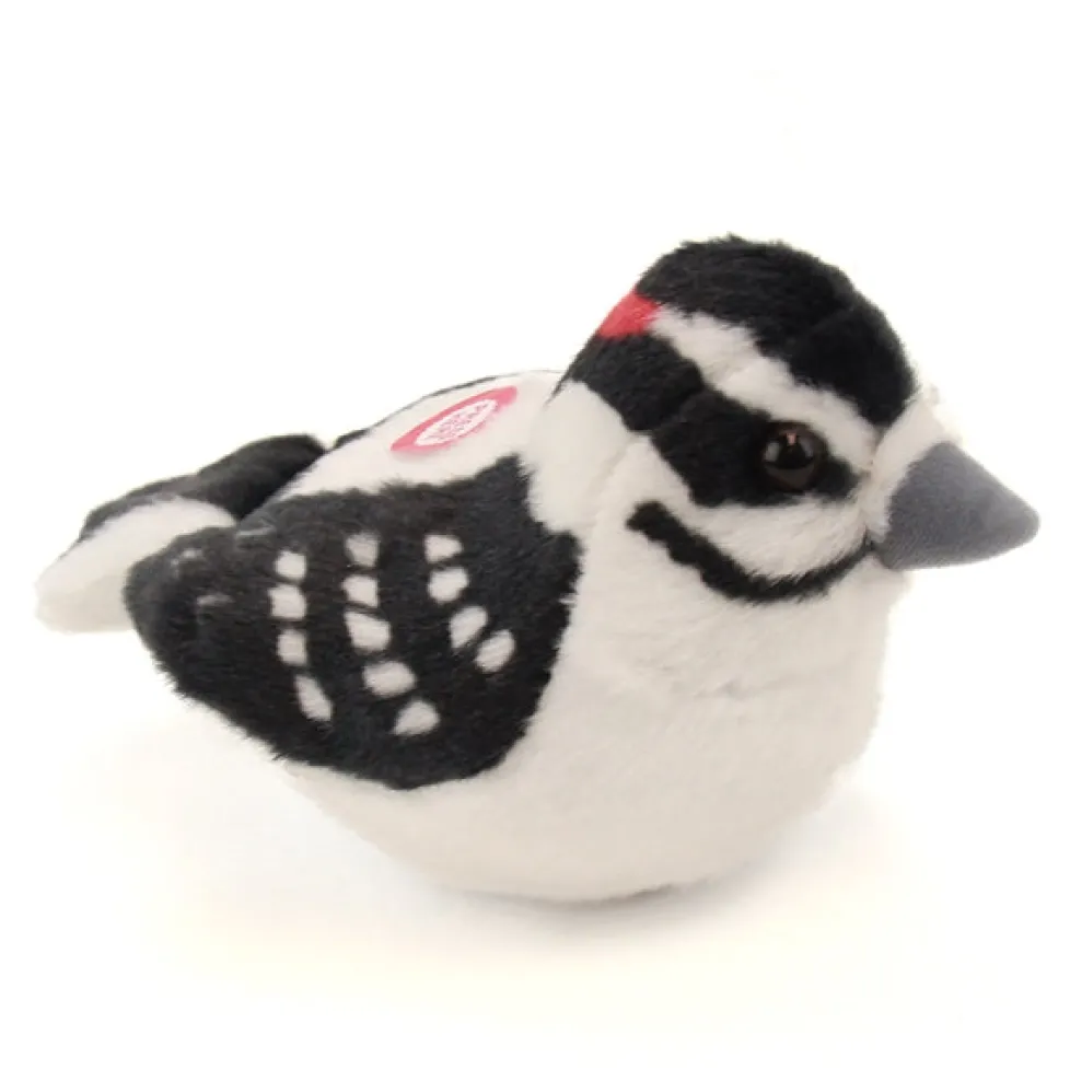 Audubon Downy Woodpecker