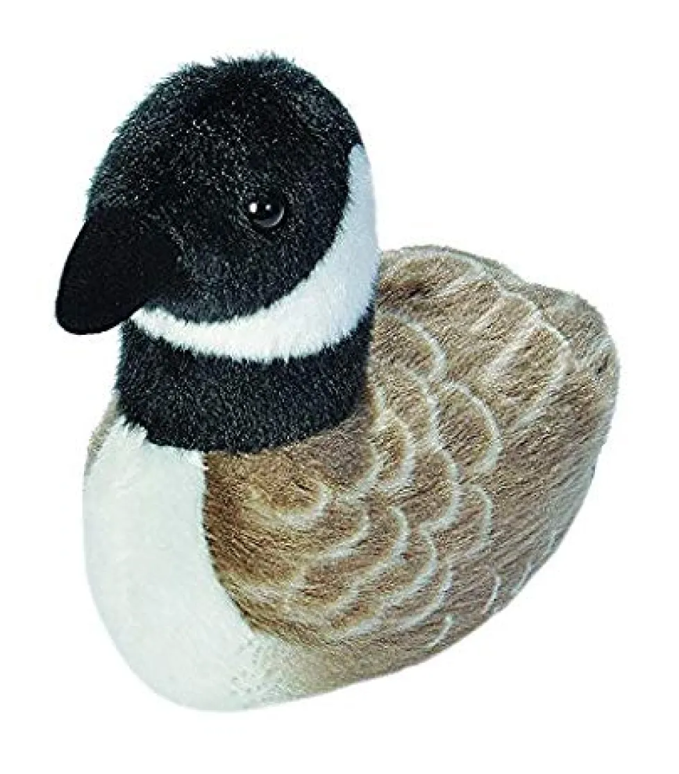 Audubon Canada Goose