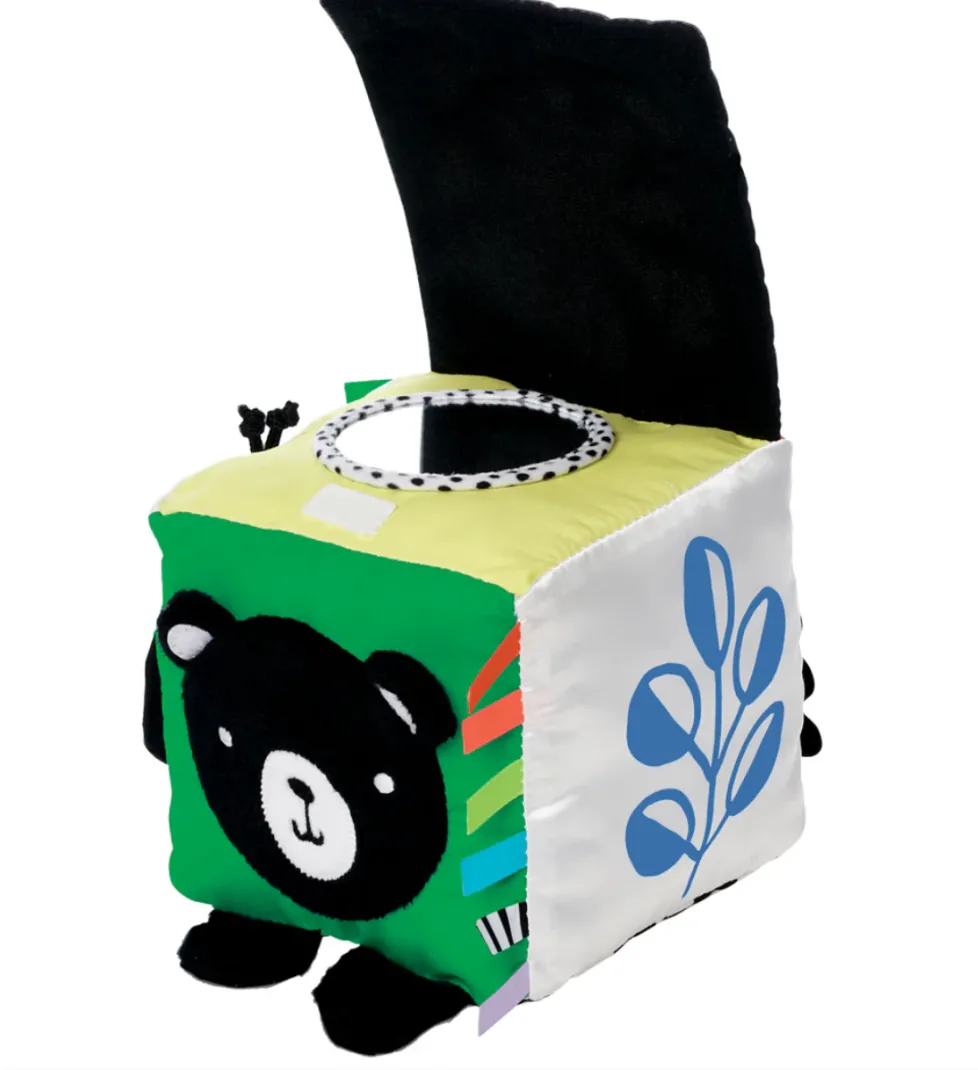 Manhattan Toy® Wimmer Discovery Cube