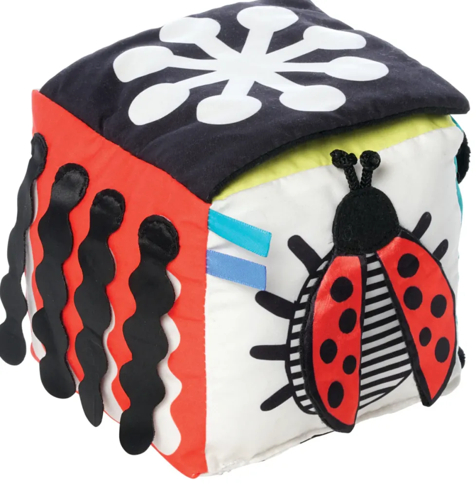 Manhattan Toy® Wimmer Discovery Cube