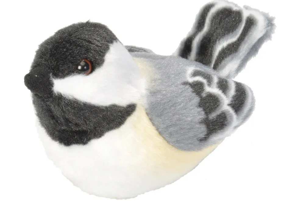 Audubon Black-Capped Chickadee