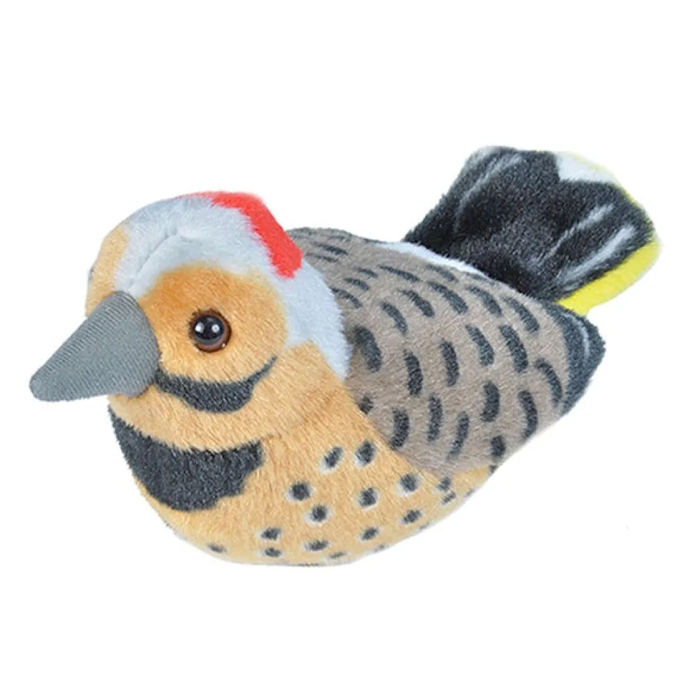 Audubon Northern Flicker