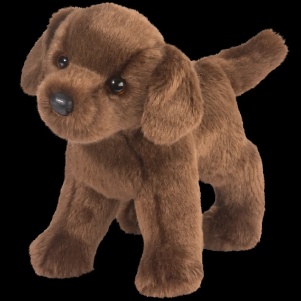 Douglas Tucker Chocolate Lab 10"