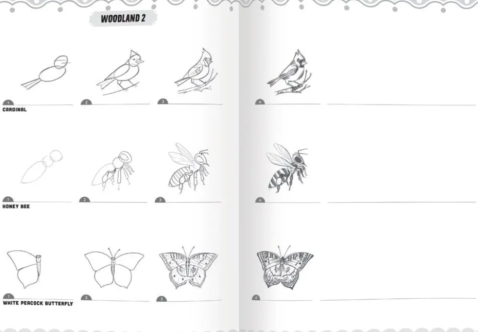 eeBoo Learn to Draw Bugs, Birds & Butterflies