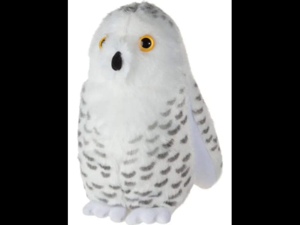 Audubon Snowy Owl