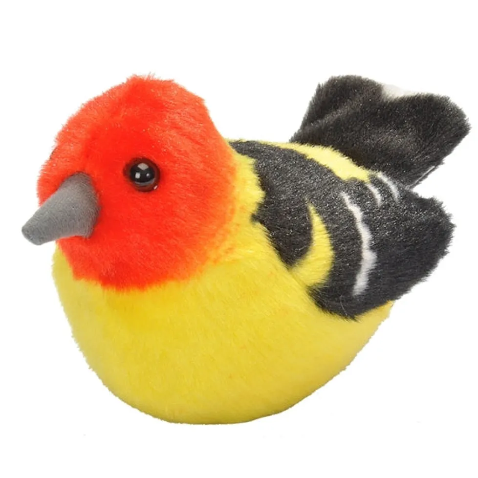 Audubon Western Tanager
