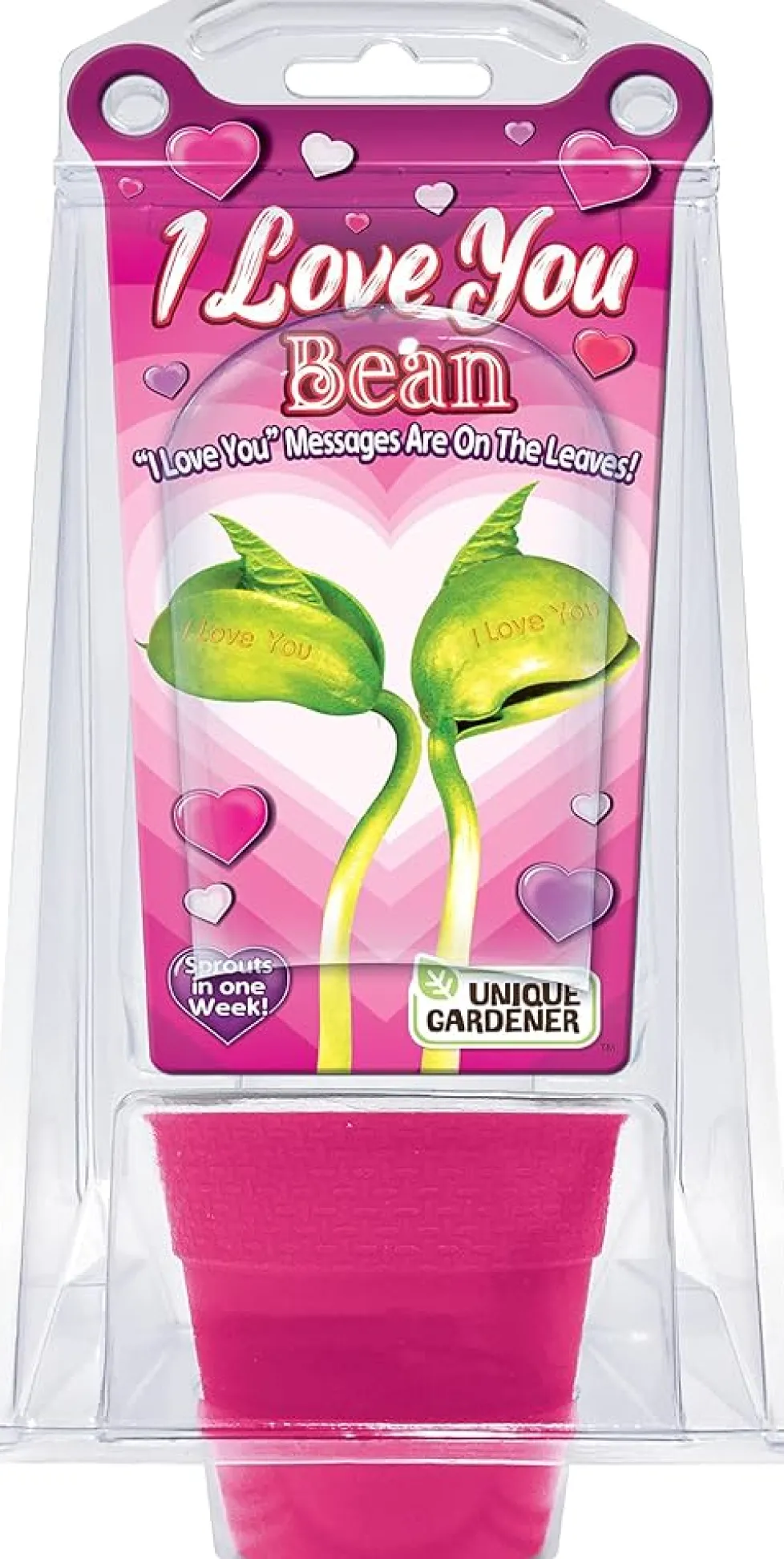 Silver Circle Products Inc.: I Love You Bean