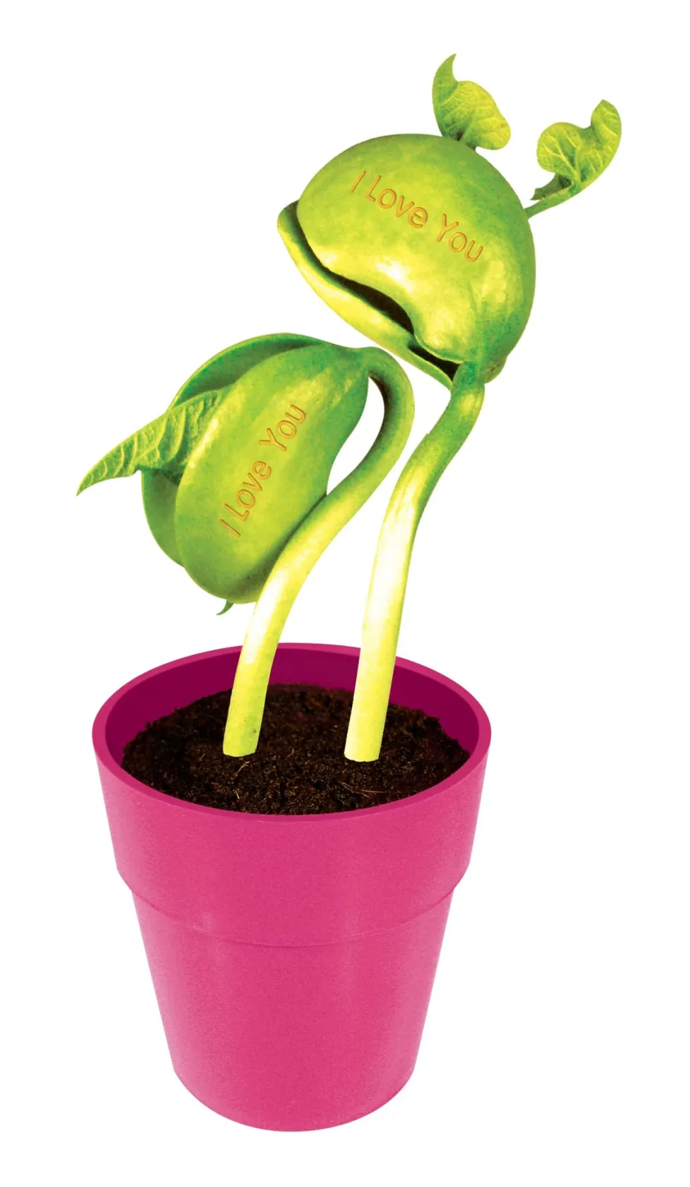 Silver Circle Products Inc.: I Love You Bean