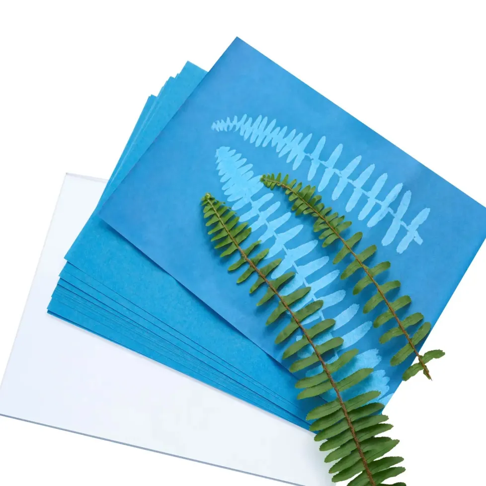 Heebie Jeebies Herschel Solar Print 12