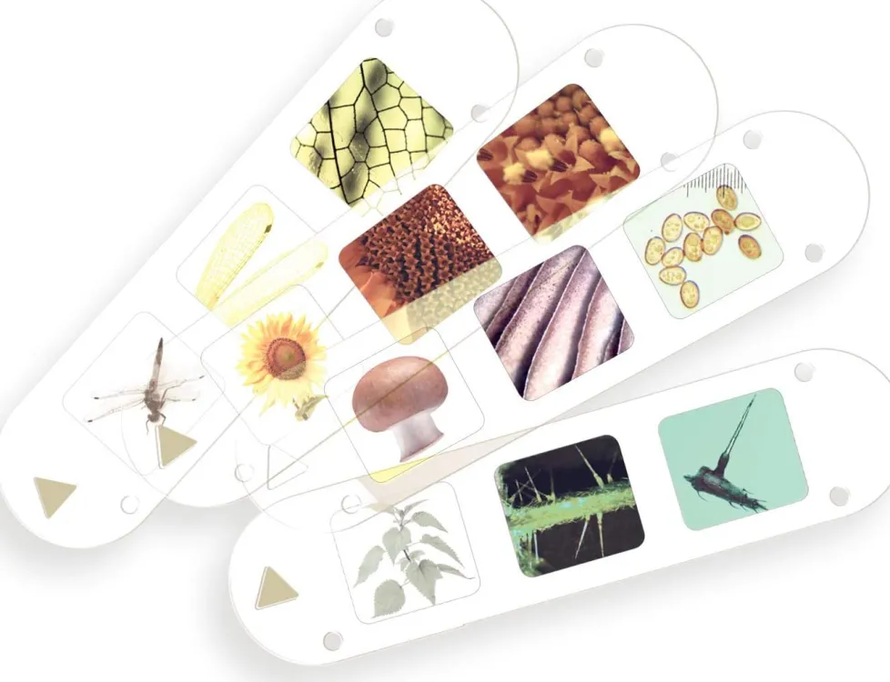 Thames & Kosmos Kids First Big & Fun Microscope