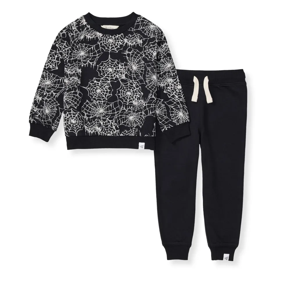 Burt's Bees Organic Baby Boy Spiderwebs Shirt and Pant Set