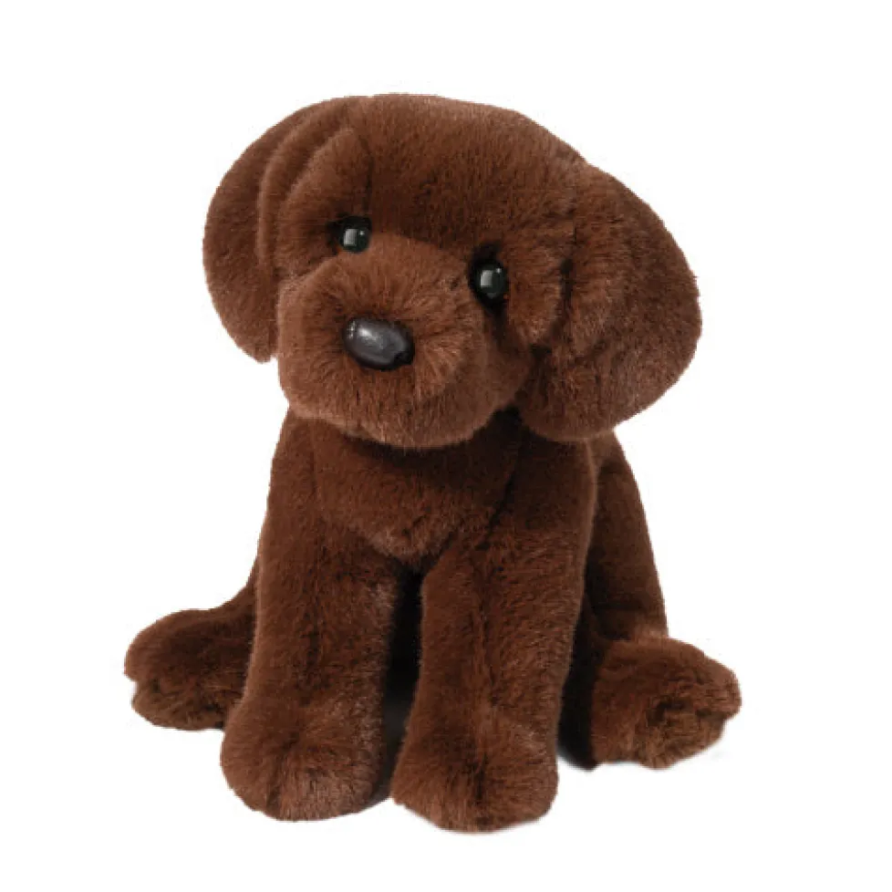 Douglas Zoom Chocolate Lab