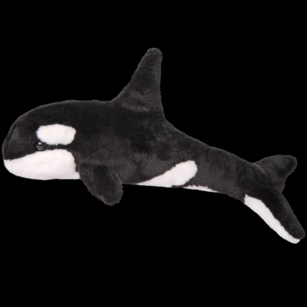 Douglas Spout Orca Whale 13"