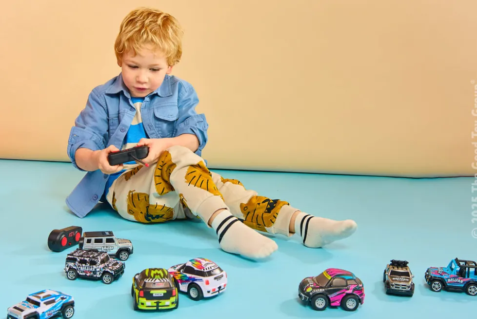 HST Rapid Rally Remote Control Cars Assorted