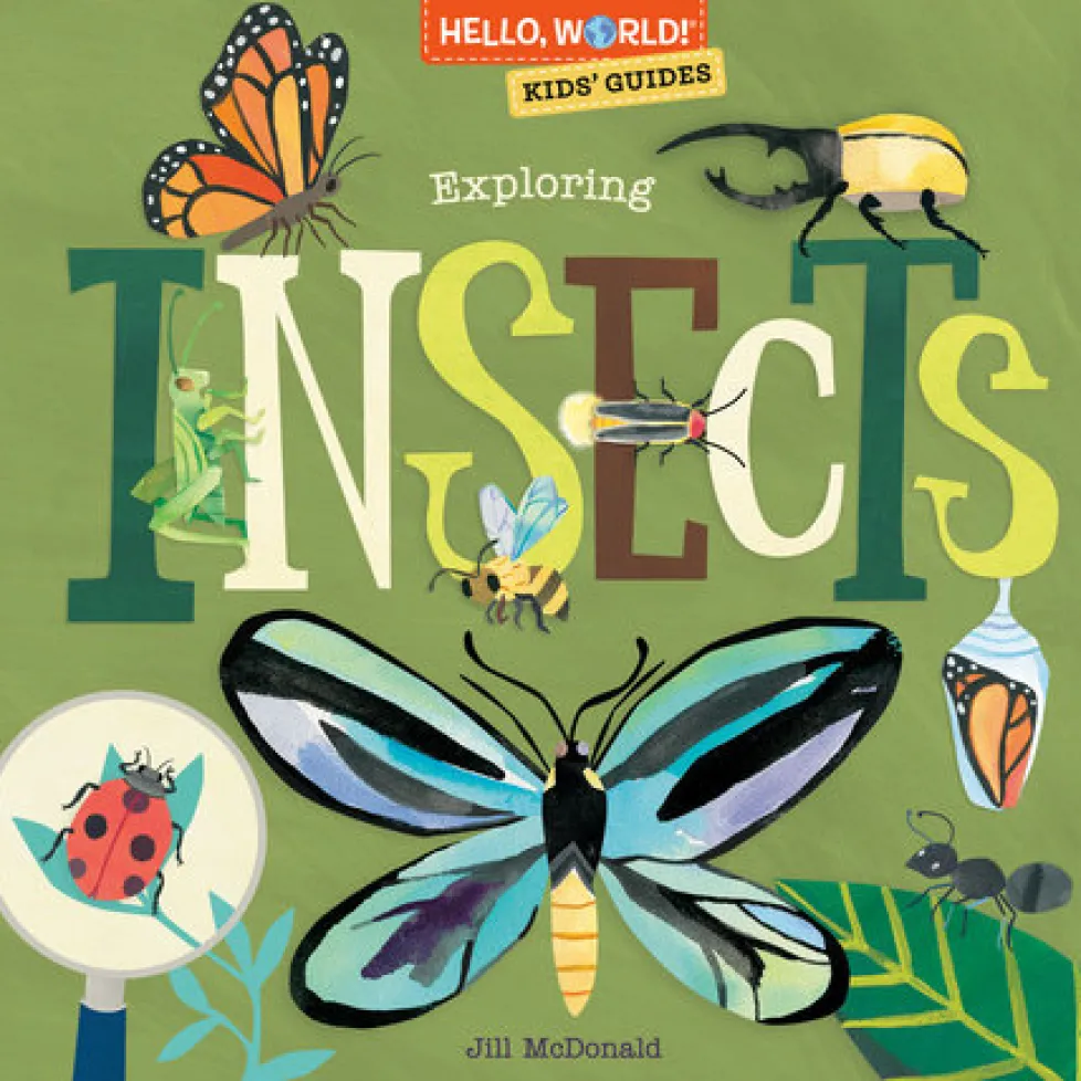 Hello, World! Kids' Guides: Exploring Insects