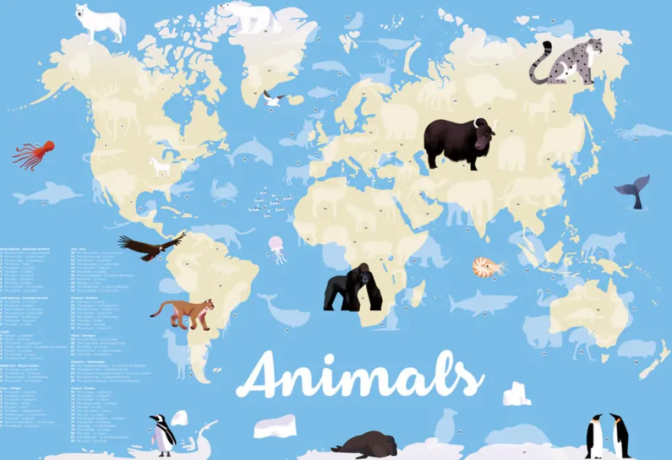 Poppik Discovery Posters - Animals of the World