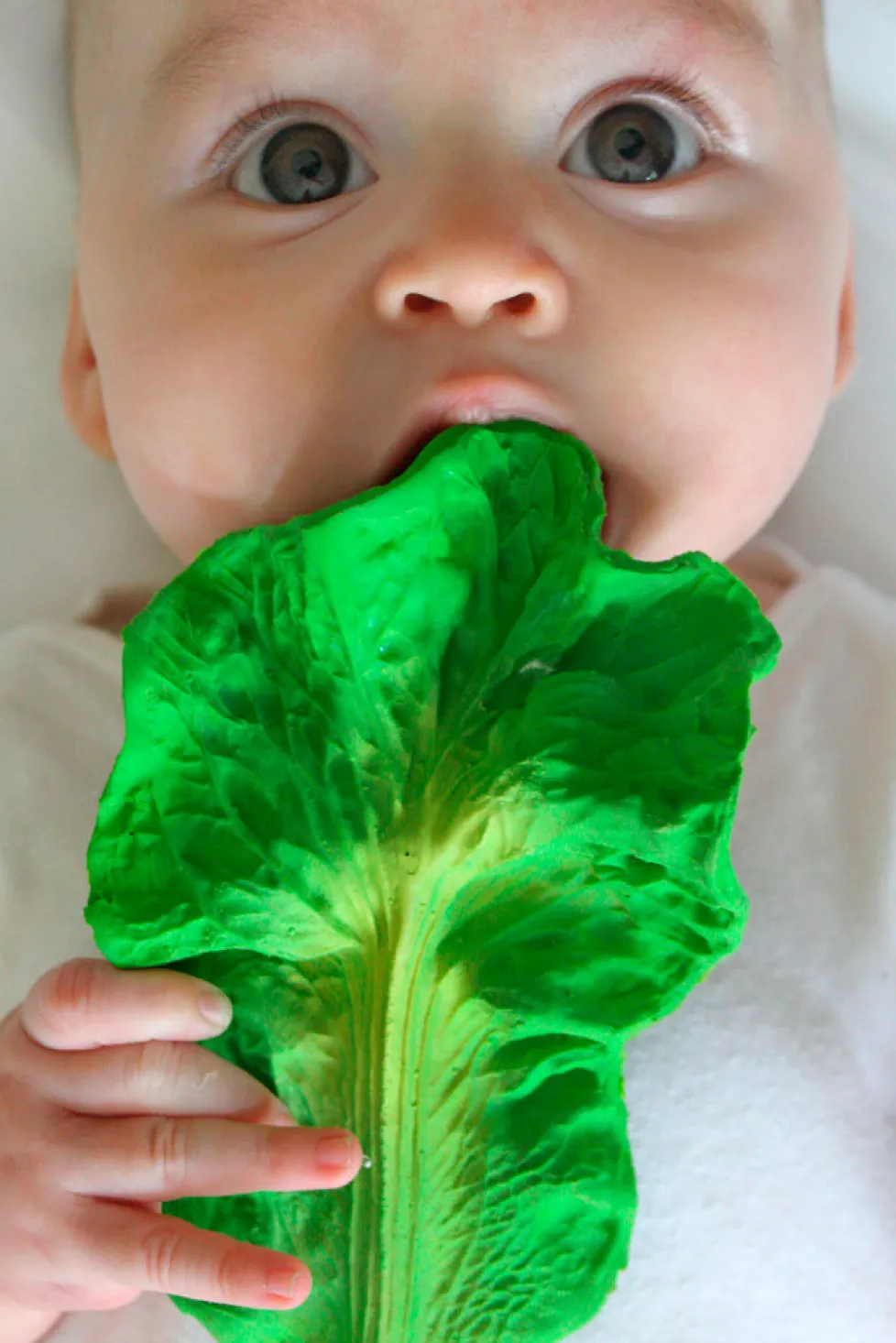 Oli & Carol Kendall the Kale Teether