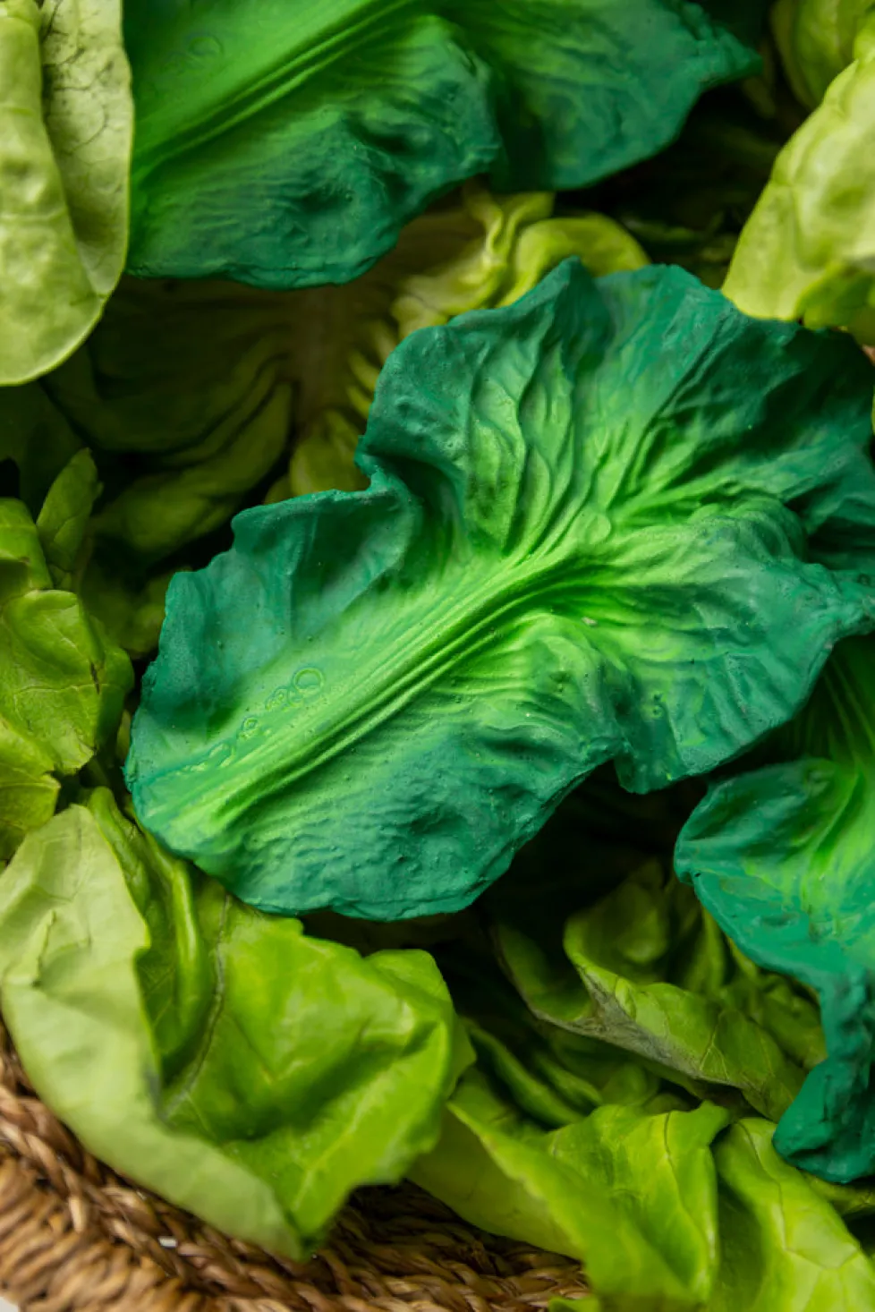 Oli & Carol Kendall the Kale Teether