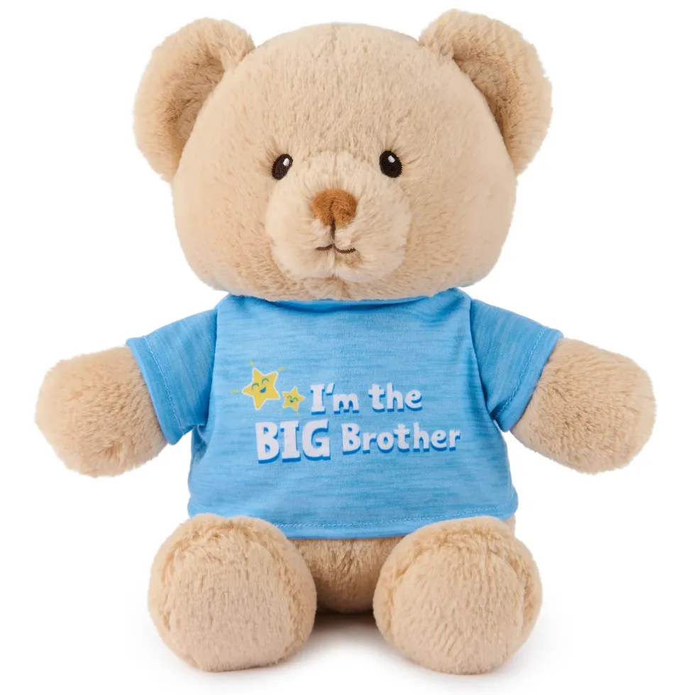 GUND "I'm the Big Brother Bear" Blue 12"
