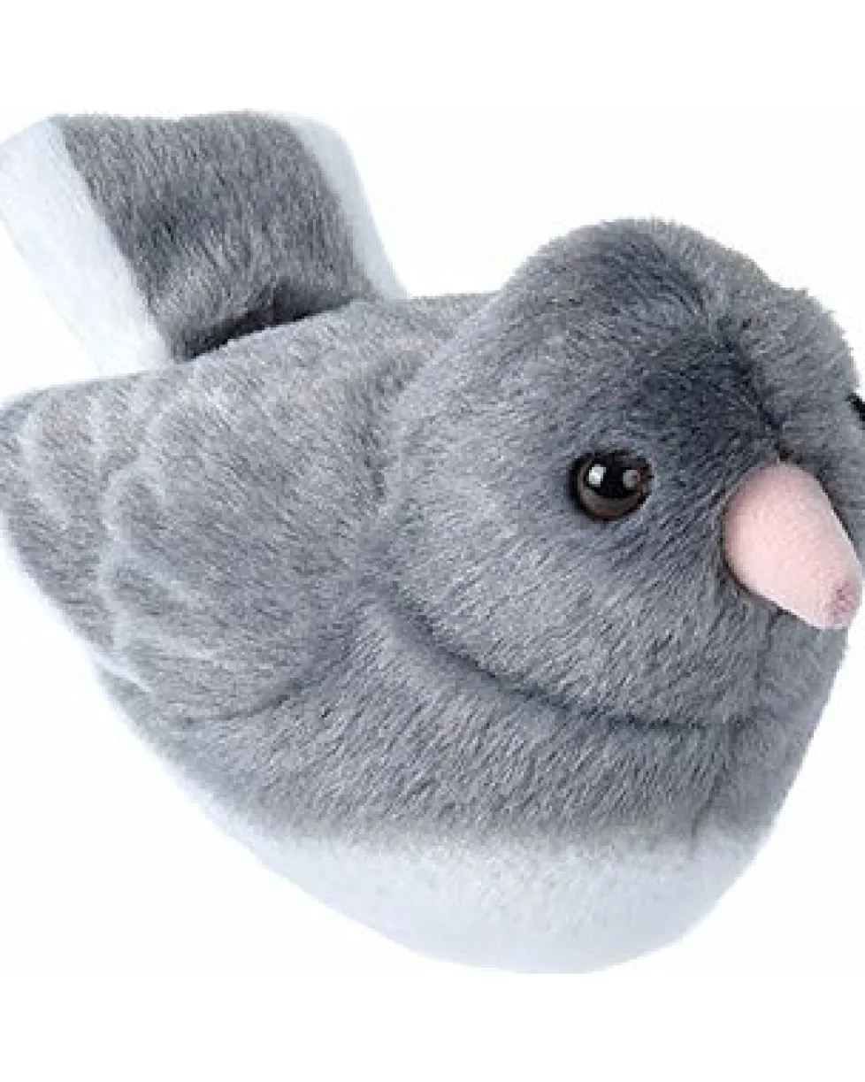 Audubon Dark Eyed Junco