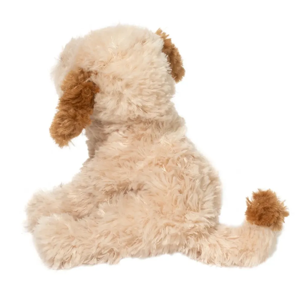 Douglas Biscuit Cavapoo 7