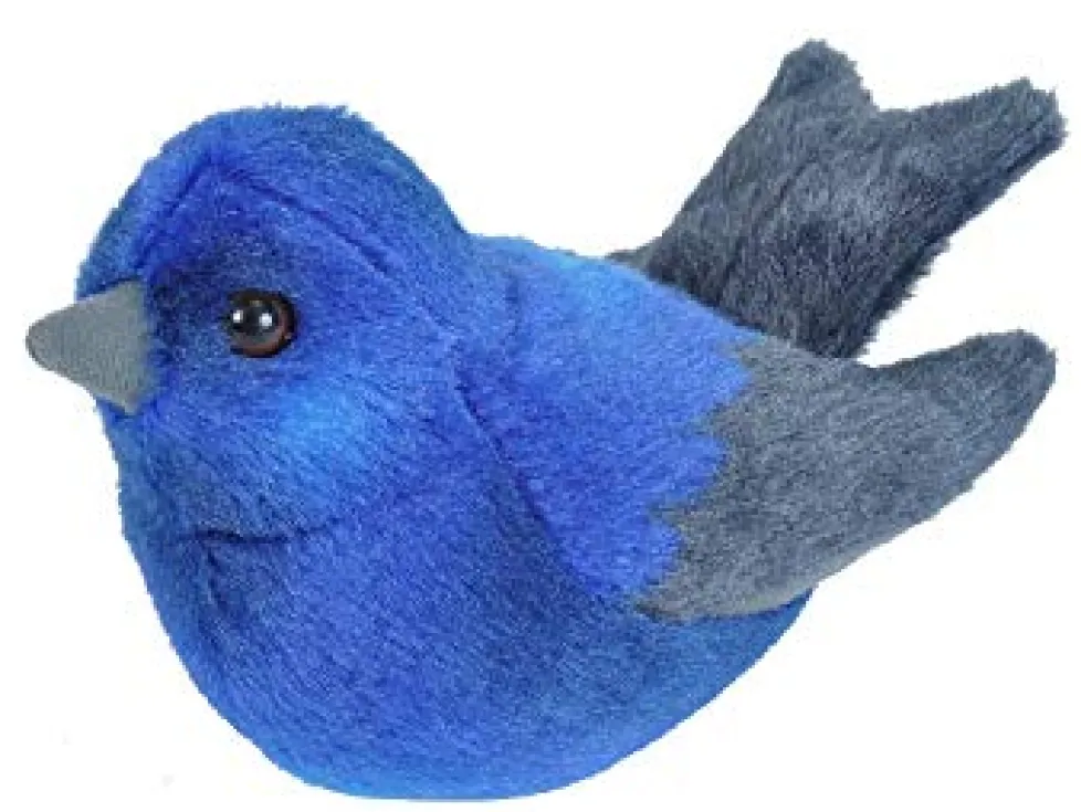 Audubon Purple Martin