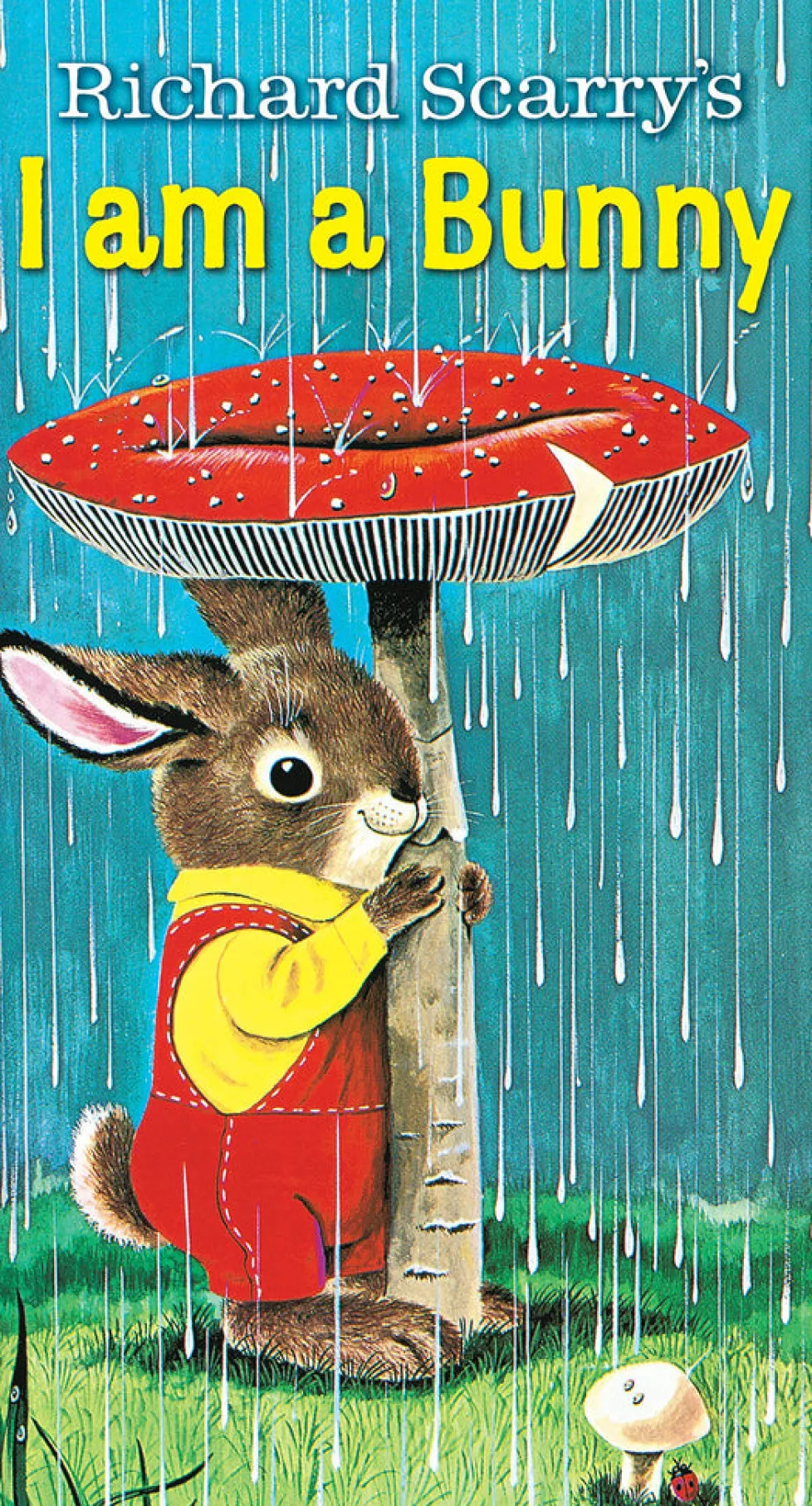 I Am a Bunny Board Book