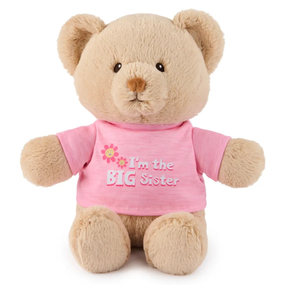 GUND "I'm the Big Sister Bear" Pink 12"