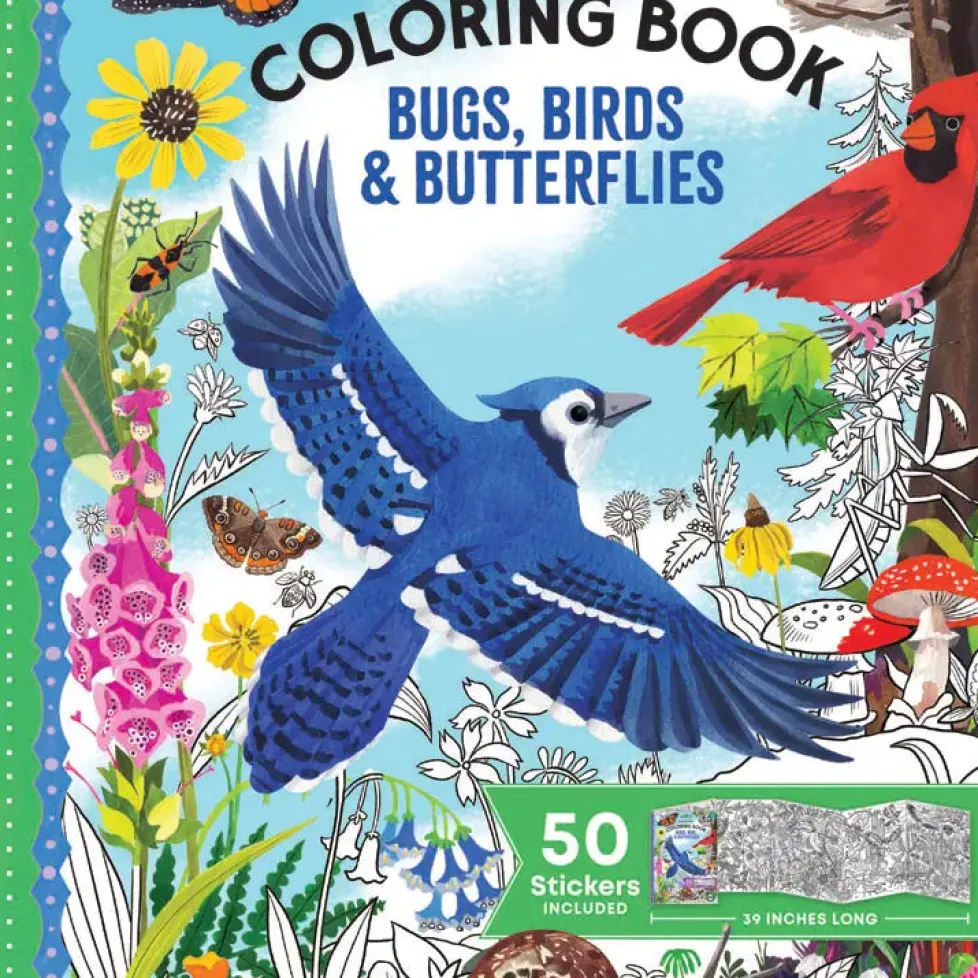 eeBoo Bugs, Birds & Butterflies Fold Out Coloring Book