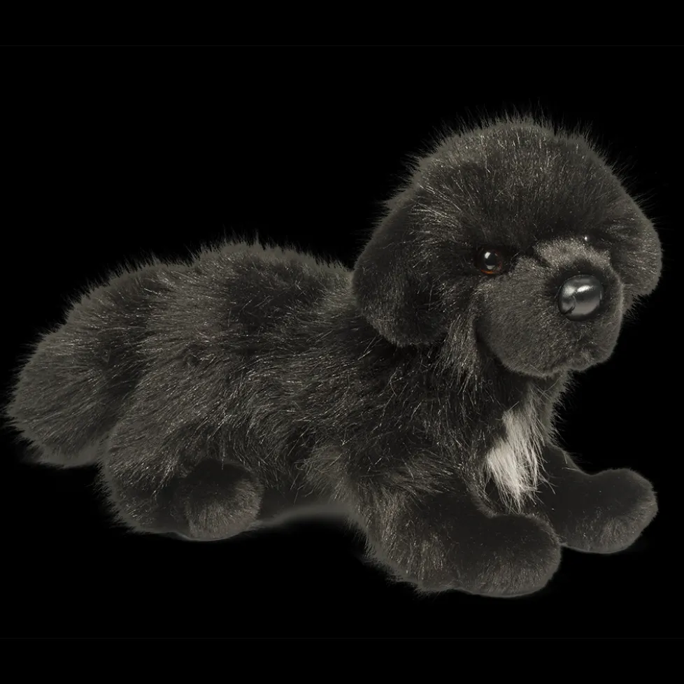 Douglas Bundy Newfoundland 16"