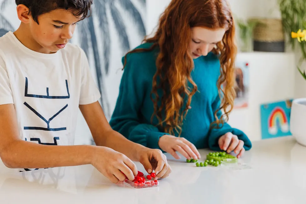 Smart Games & Toys IQ MINI Puzzle Game