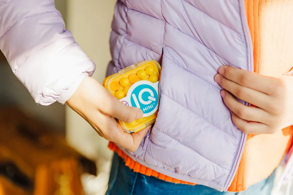 Smart Games & Toys IQ MINI Puzzle Game