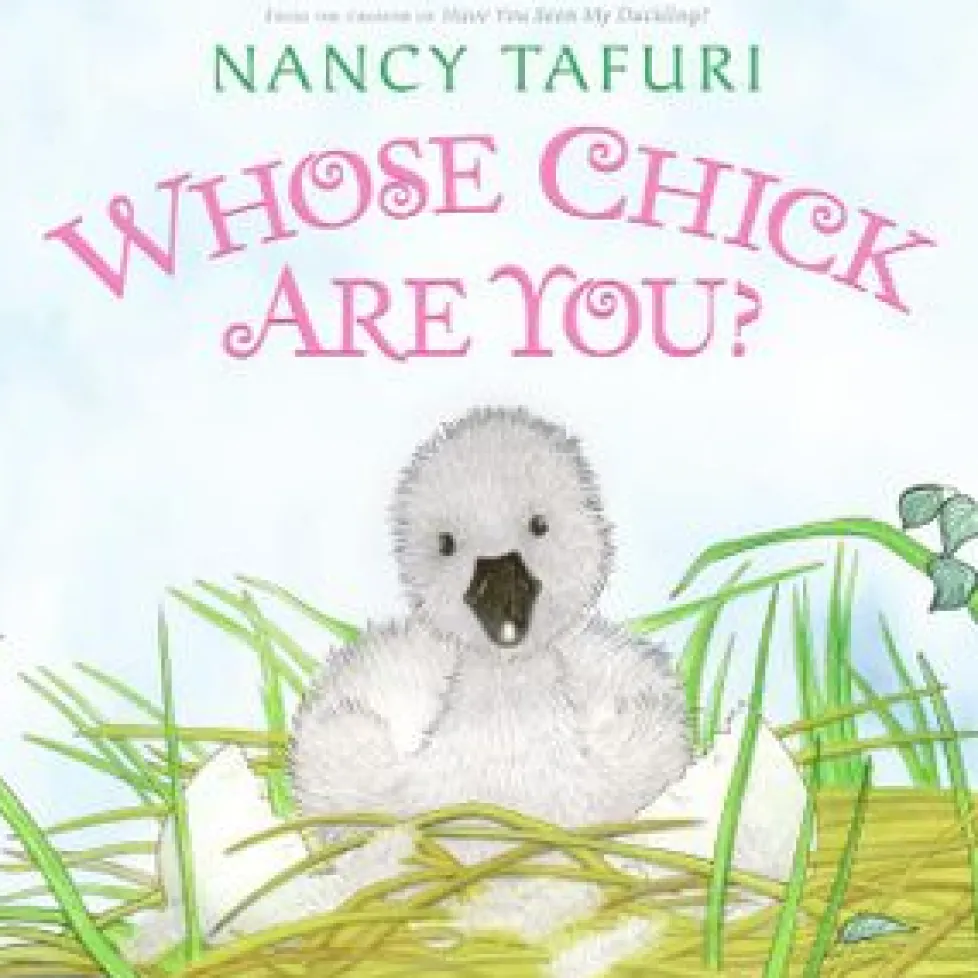 Whose Chick Are You?