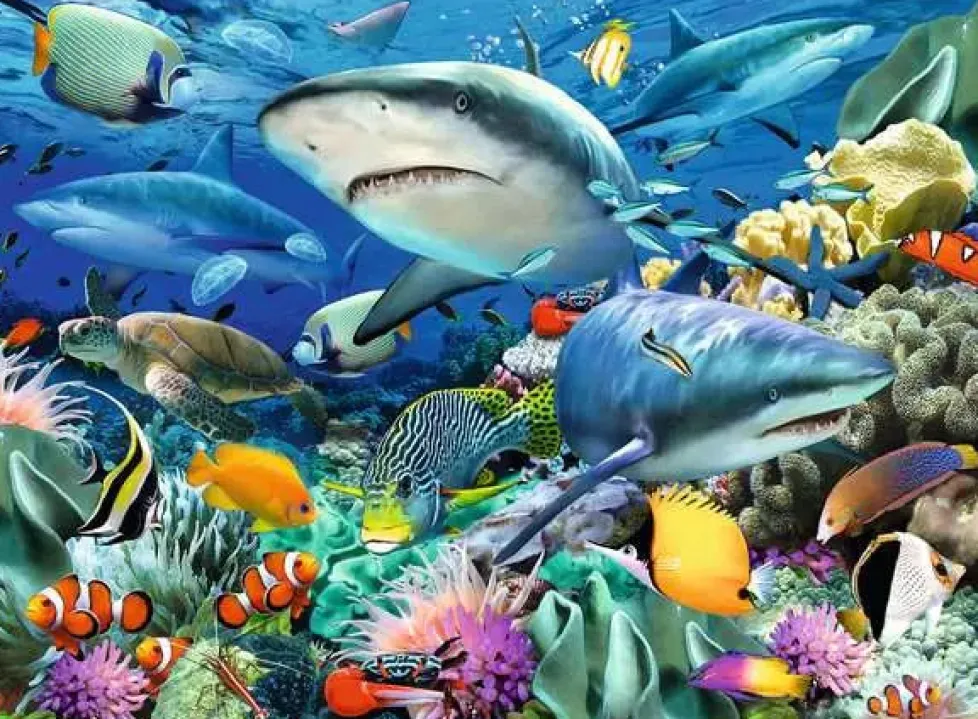 Ravensburger Puzzle 100 piece Shark Reef