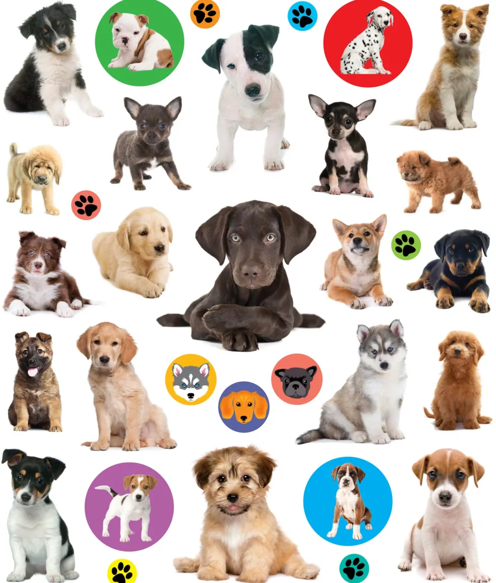 EyeLike Stickers: Puppies