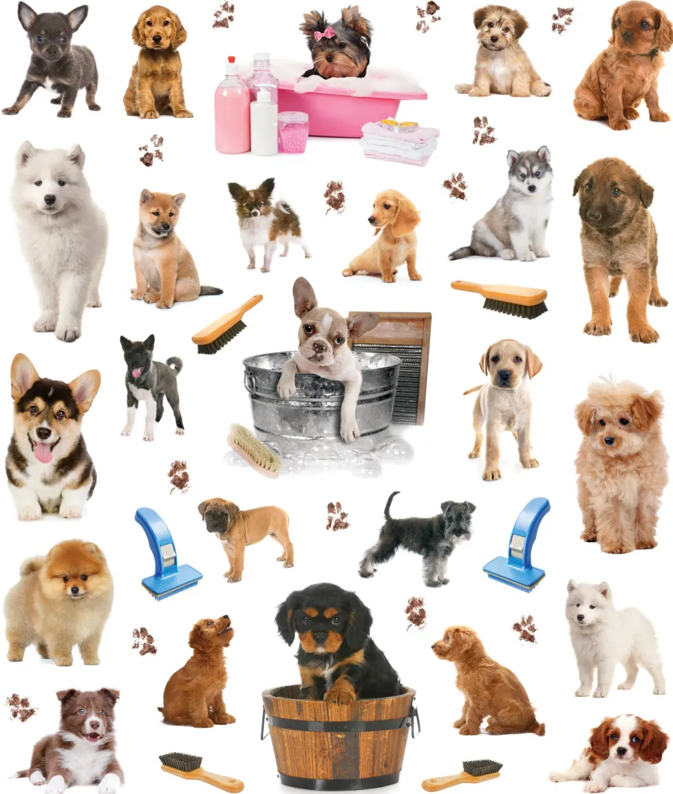 EyeLike Stickers: Puppies