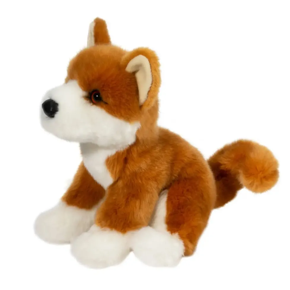 Douglas Aki Shiba Inu 9
