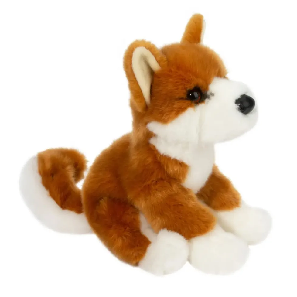Douglas Aki Shiba Inu 9
