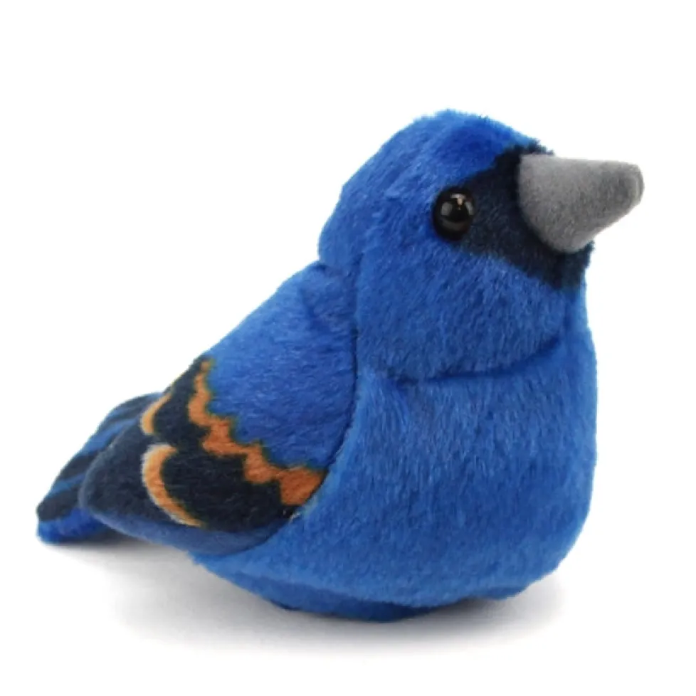 Audubon Blue Grosbeak