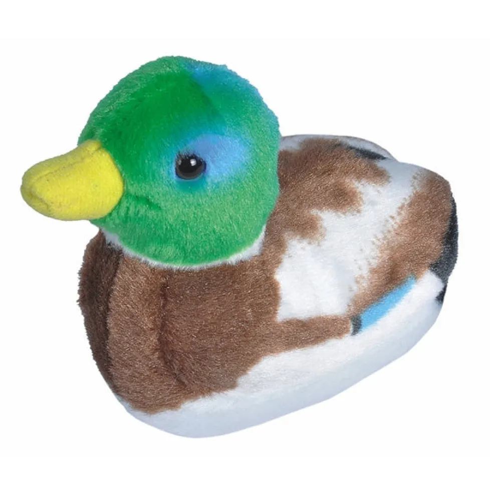 Audubon Mallard Duck