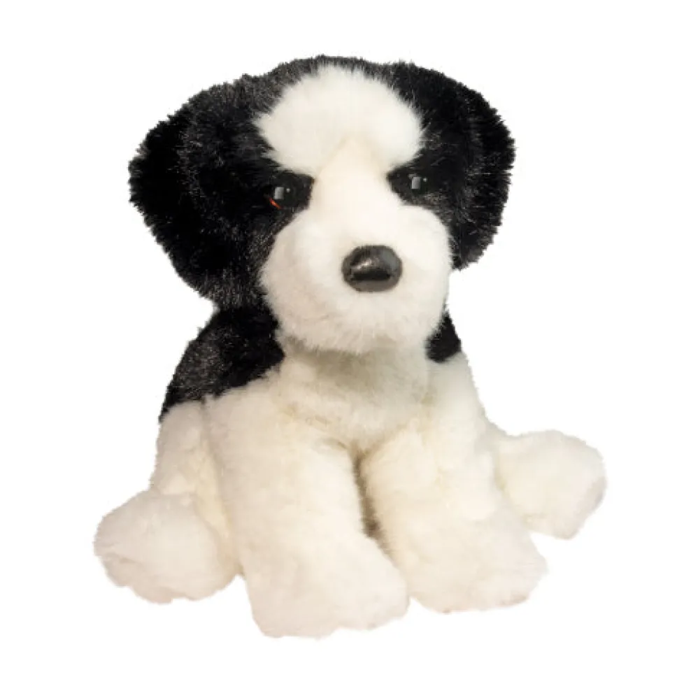 Douglas Teefer Shih Tzu