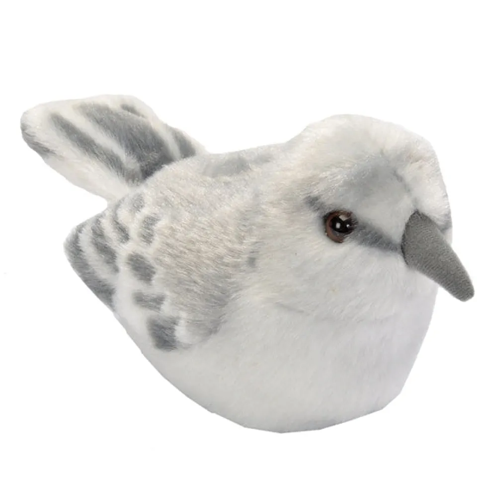 Audubon Northern Mockingbird