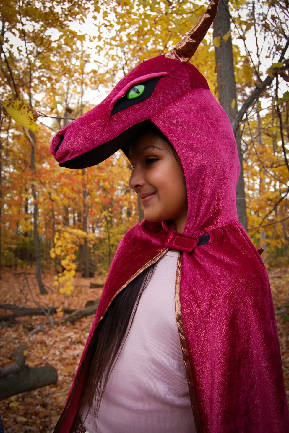 Great Pretenders Red and Copper Starry Night Dragon Cape