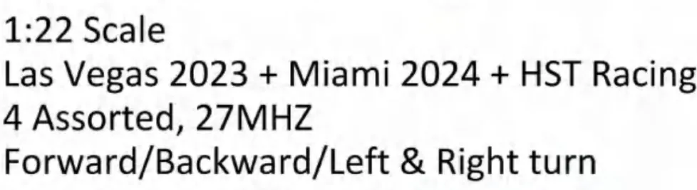 HST F1 Racing Miami RC Race Car Assorted