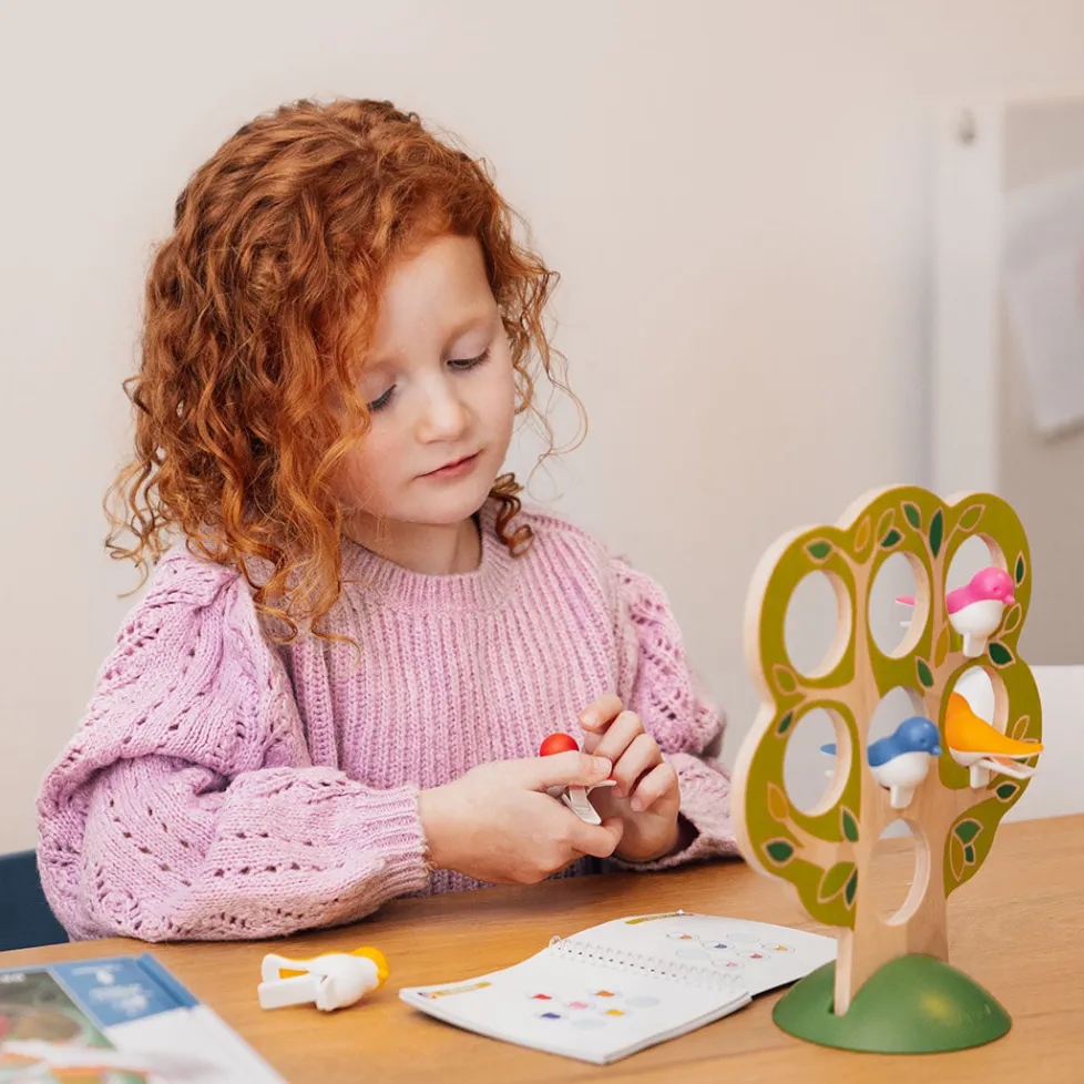 Smart Games & Toys 5 Little Birds