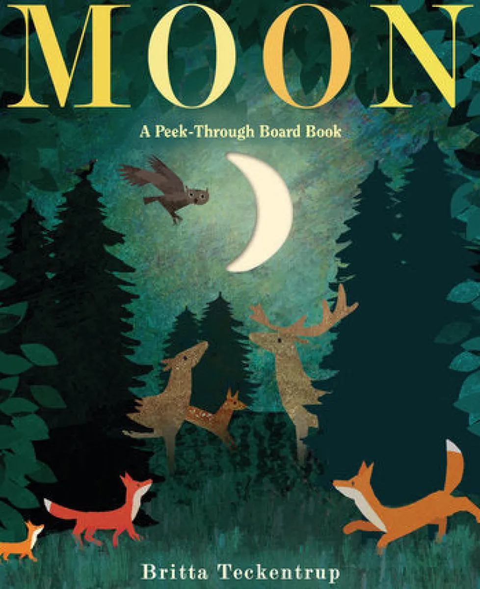 Moon: A Peek-Through Board Book