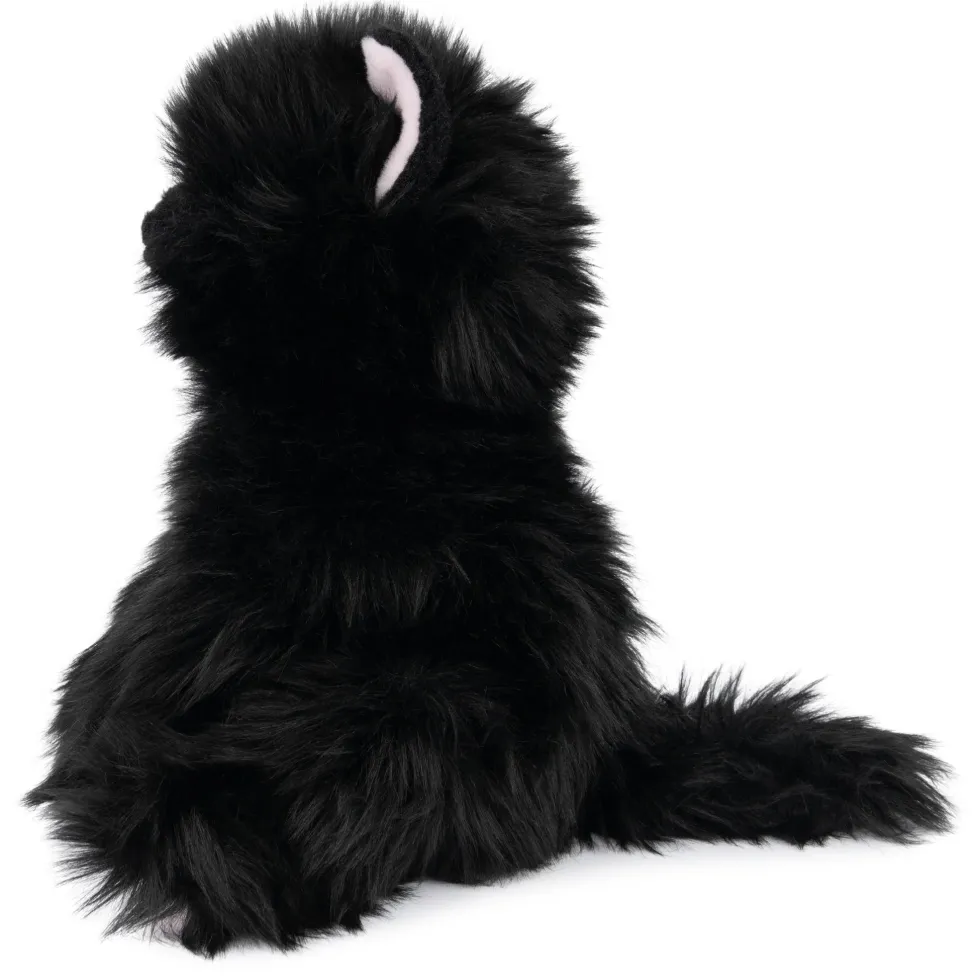 Gund Xavier Kitten 9